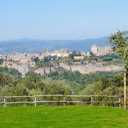 Pietra Campana Italian Villa Orvieto Extérieur photo
